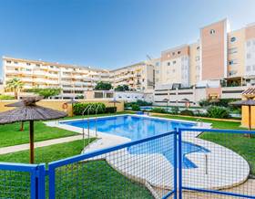 houses for rent in benajarafe