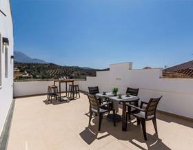 apartments for rent in viñuela