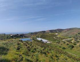 land sale málaga almayate bajo by 1,600,000 eur