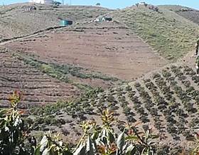 land sale benamargosa by 77,000 eur