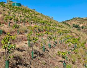 lands for sale in malaga province