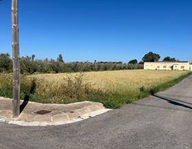 land sale deltebre jesus i maria by 45,000 eur