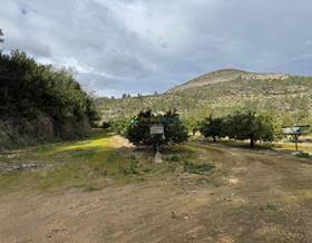 lands for sale in castello de rugat