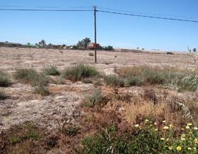 land sale elche elx alzabares by 295,000 eur