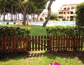 apartments for rent in alcanar