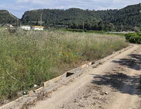 land sale oliva oliva pueblo by 23,000 eur