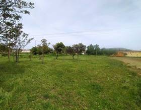 lands for sale in tarazona