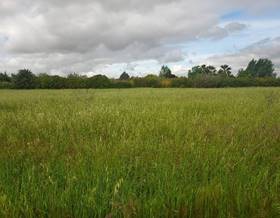 land sale badajoz zafra by 15,000 eur