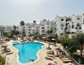 studios for sale in tenerife sta. cruz de tenerife