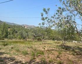lands for sale in masdenverge