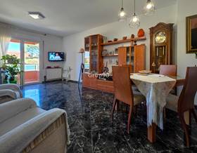 apartments for sale in alcarras