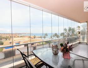 apartments for sale in san miguel de salinas