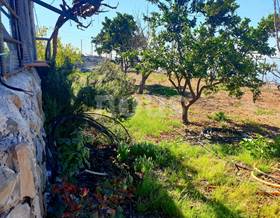 lands for sale in sta. cruz de tenerife canary islands