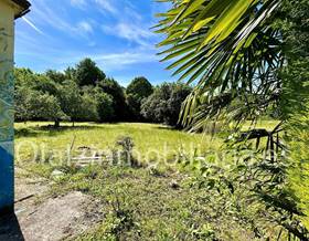 houses for sale in zalla