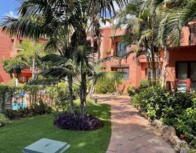 apartment rent marbella elviria by 2,250 eur