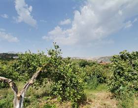 land sale casares by 272,000 eur