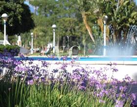 apartments for sale in mezquitilla
