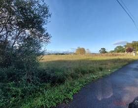 lands for sale in llanera