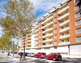 apartments for sale in palmera