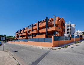 apartments for sale in cabo roig