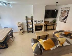 houses for sale in torre del mar