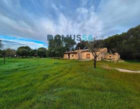 lands for sale in maria de la salut