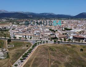 lands for sale in campanet