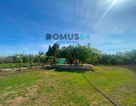 lands for sale in can picafort