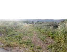 lands for sale in alcala de xivert