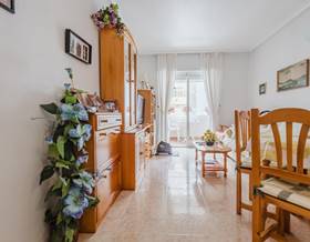houses for sale in punta prima
