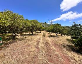 lands for sale in moya