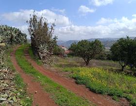 lands for sale in vega de san mateo