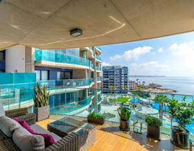 apartments for sale in los montesinos