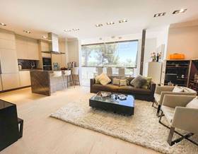 houses for rent in san luis de sabinillas