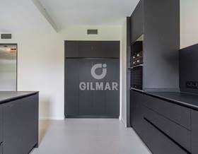 houses for rent in somosaguas