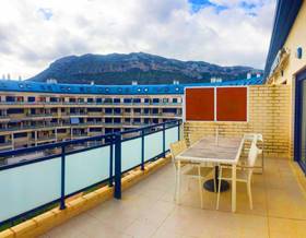 apartments for rent in denia