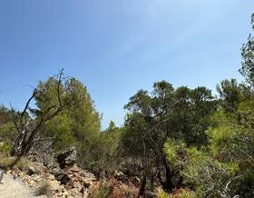 lands for sale in teulada