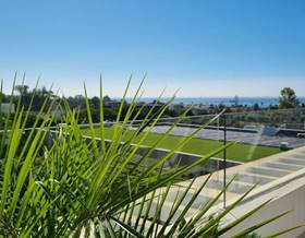 apartments for rent in san luis de sabinillas