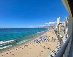 studio sale benidorm avenida de madrid by 297,000 eur