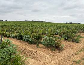 rustic property sale bollullos par del condado periferia by 45,000 eur