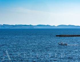 houses for sale in ses salines