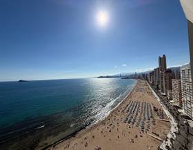 apartments for sale in benidorm