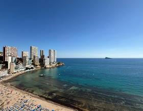 flat sale benidorm 1ª linea by 680,000 eur