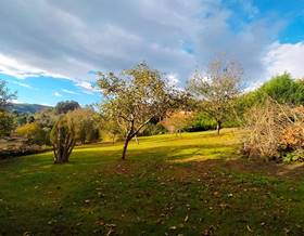 lands for sale in muros de nalon