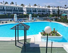 apartments for rent in san bartolome de tirajana