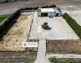 industrial warehouse rent el puerto de santa maria carretera de sanlúcar-sudamérica by 2,500 eur