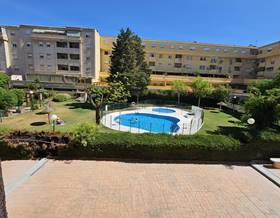 apartments for rent in morche