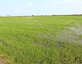 lands for sale in godall