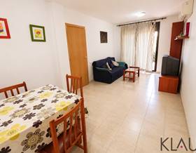 apartments for sale in sant carles de la rapita
