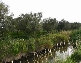 lands for sale in l´aldea